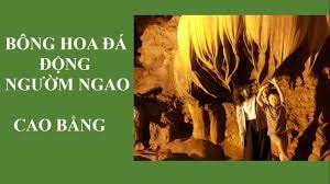 Bí ẩn động Ngườm Ngao đất Cao Bằng