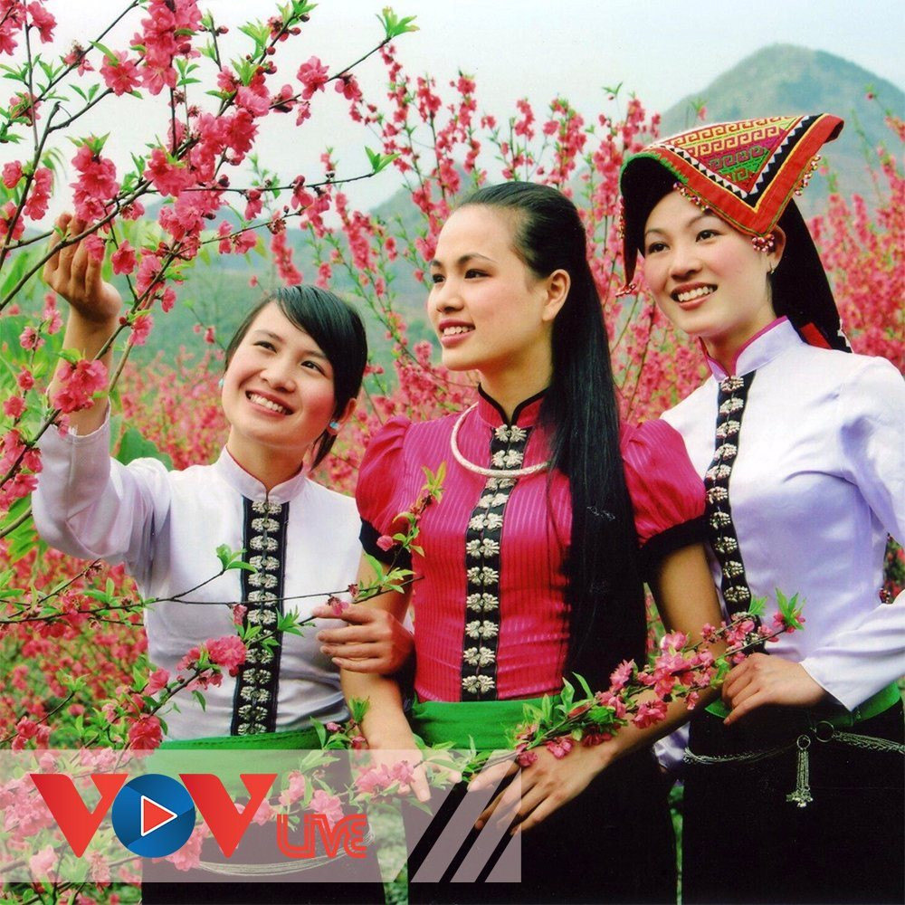 Dân ca các dân tộc thiểu số Việt Nam