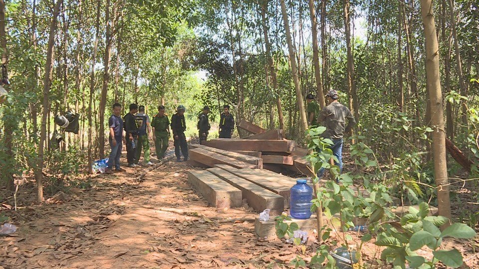 Bắt giam nguyên giám đốc Công ty lâm nghiệp Ea Kar - Đắk Lắk - 1