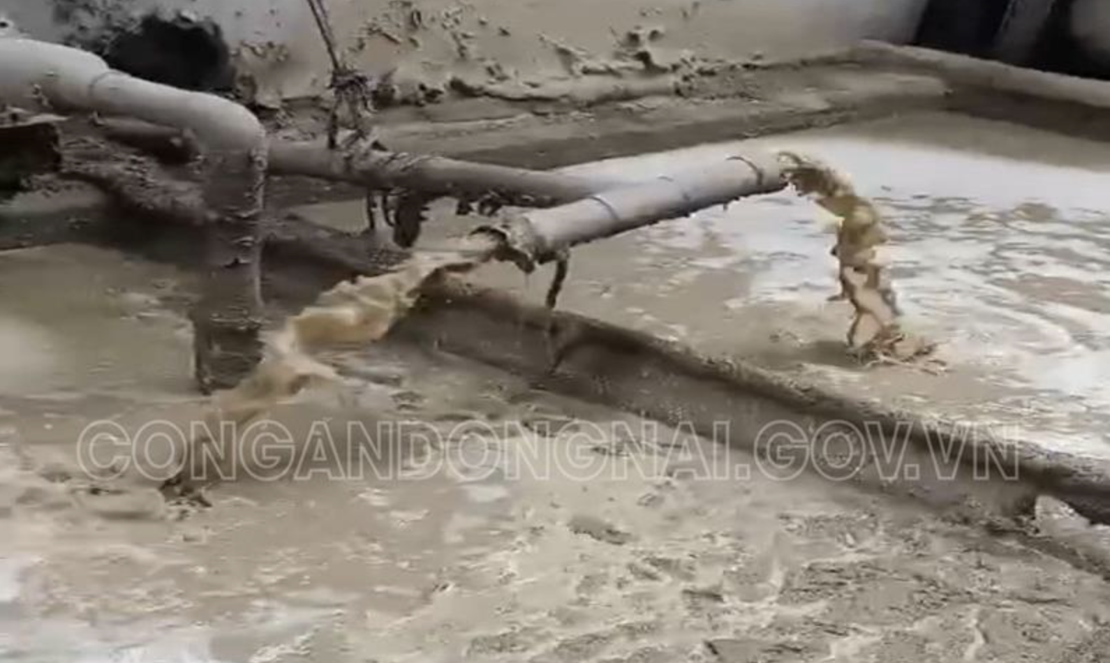 Bắt quả tang công ty giấy xả nước thải, khí thải trái phép - 1
