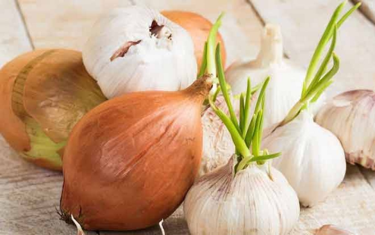 Hành tỏi mọc mầm.