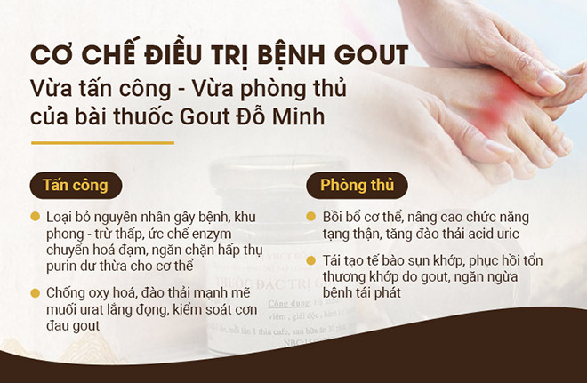 Đối phó với bệnh Gout lâu năm nhờ bài thuốc Gout Đỗ Minh 150 năm tuổi - 2