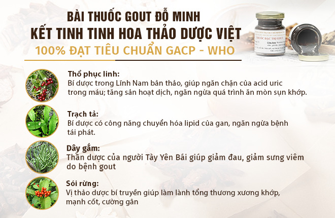Đối phó với bệnh Gout lâu năm nhờ bài thuốc Gout Đỗ Minh 150 năm tuổi - 3