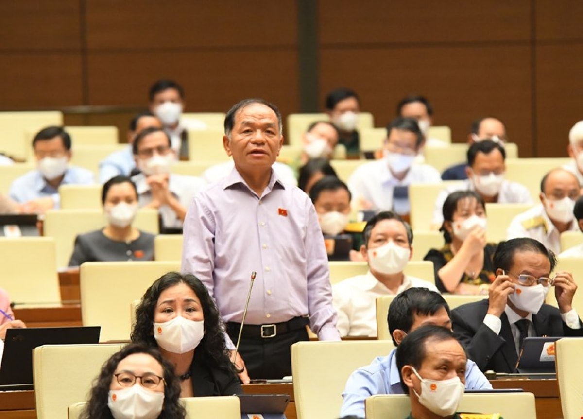 Đại biểu Lê Thanh Vân.